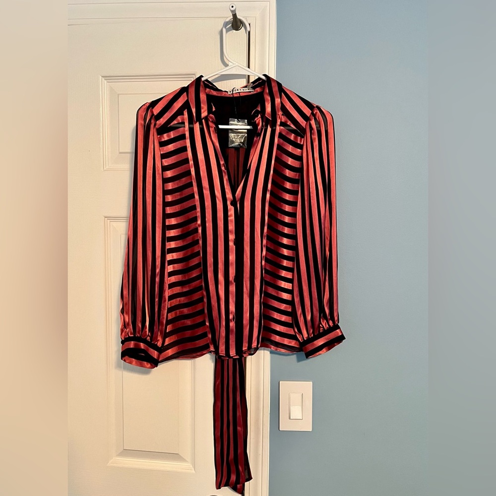 2 piece set Alice and Olivia striped silk blouse top xs NWT
